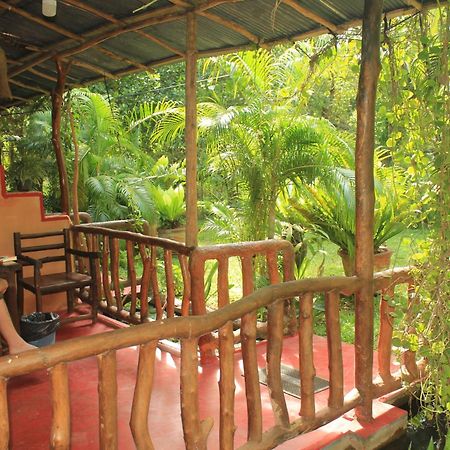 Sigiriya Nature View Home Stay Exterior foto