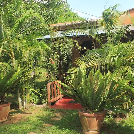 Sigiriya Nature View Home Stay Exterior foto