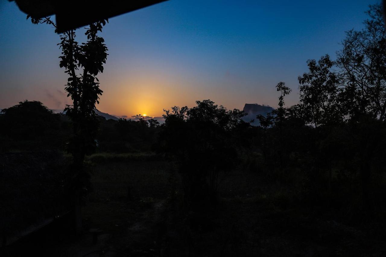 Sigiriya Nature View Home Stay Exterior foto