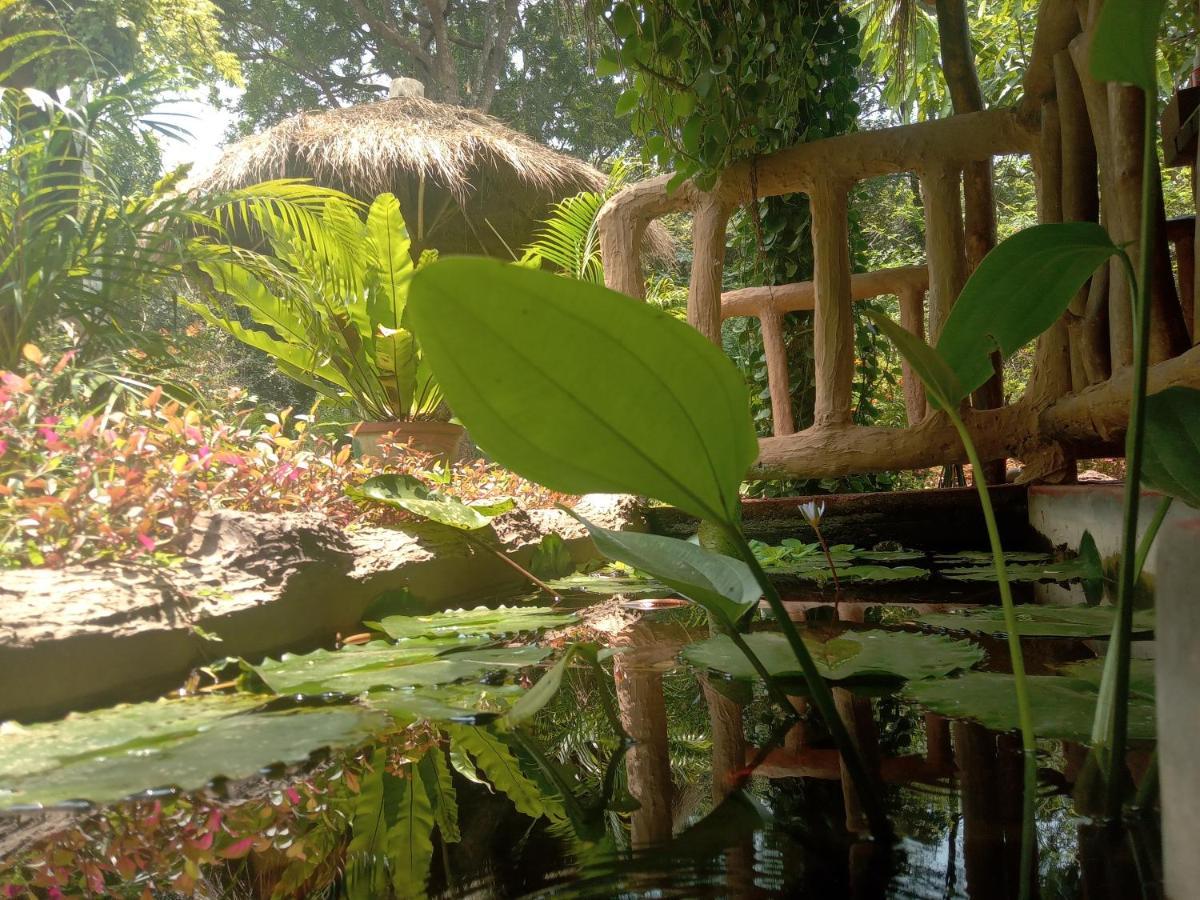 Sigiriya Nature View Home Stay Exterior foto