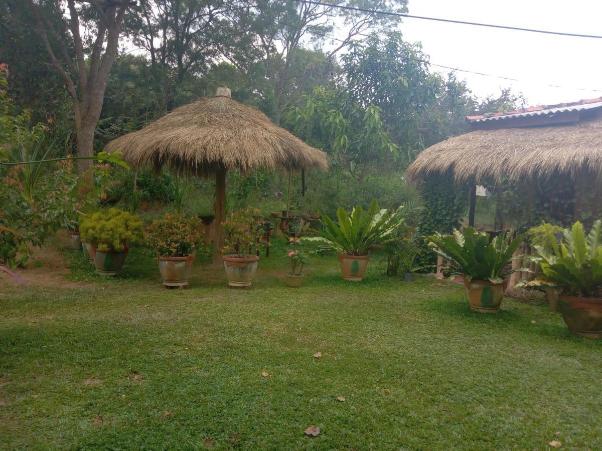 Sigiriya Nature View Home Stay Exterior foto