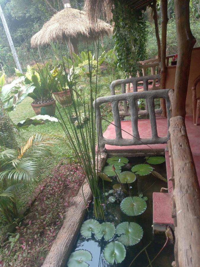 Sigiriya Nature View Home Stay Exterior foto