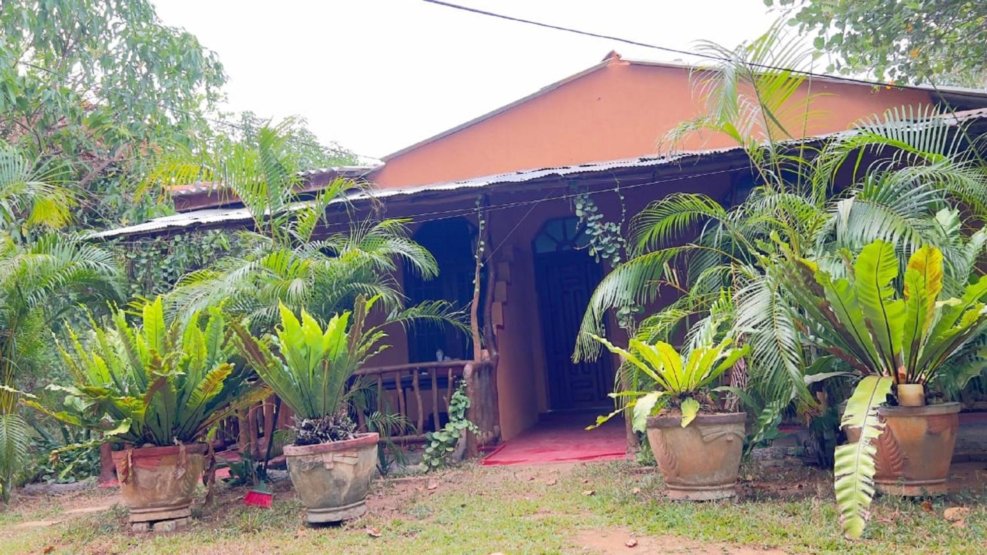 Sigiriya Nature View Home Stay Exterior foto