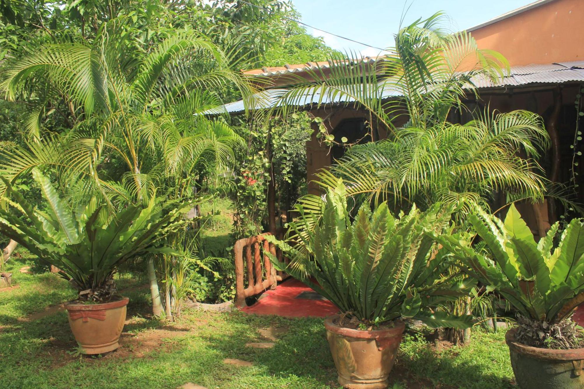 Sigiriya Nature View Home Stay Exterior foto