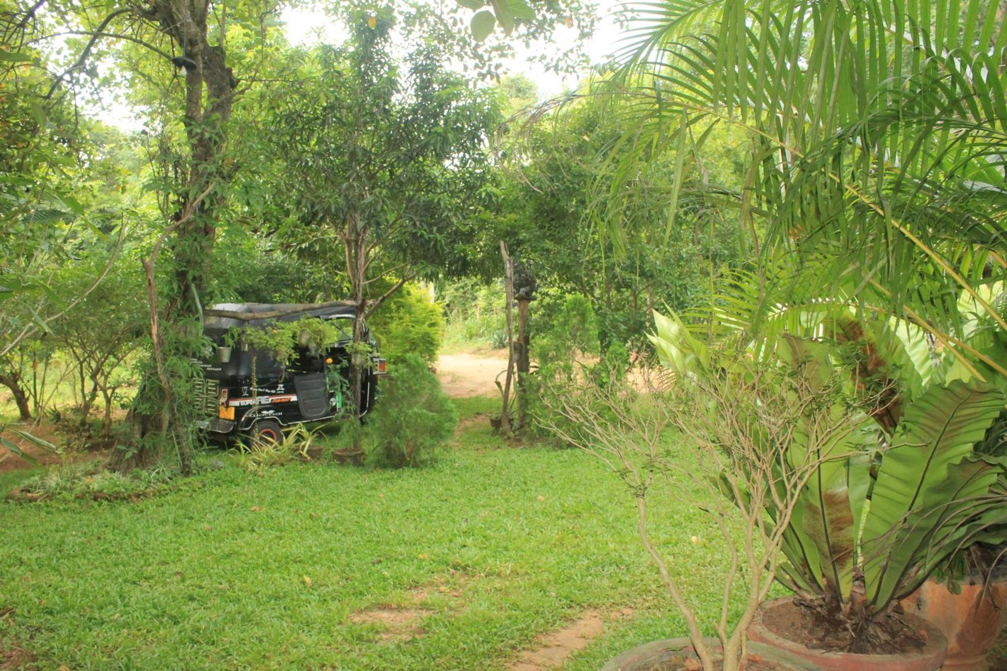 Sigiriya Nature View Home Stay Exterior foto